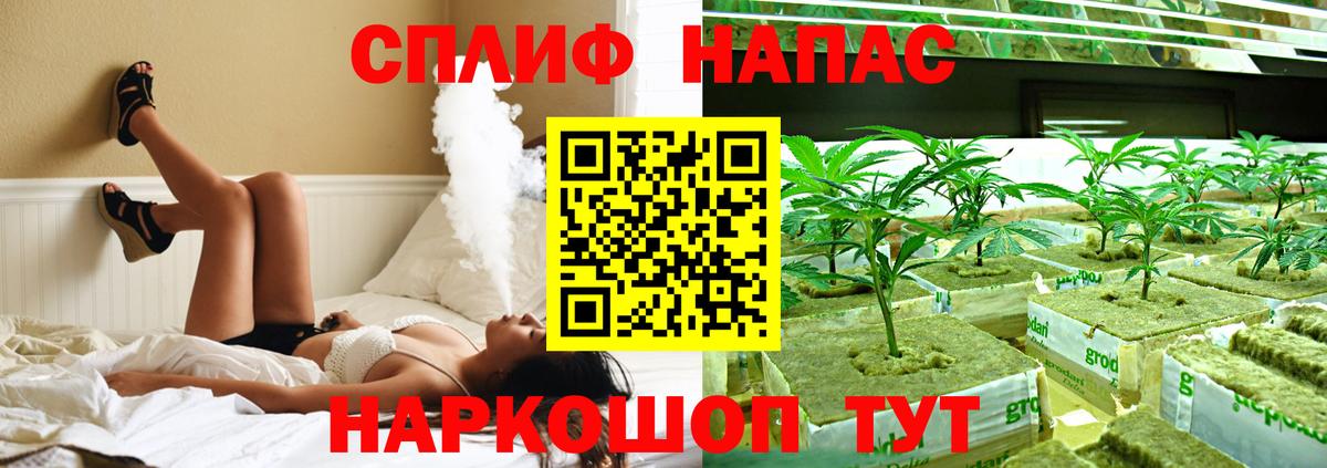 Бошки Шишки марихуана Саратов